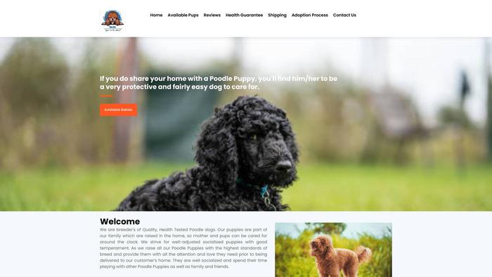 Poodleshome.com - Poodle Puppy Scam Review