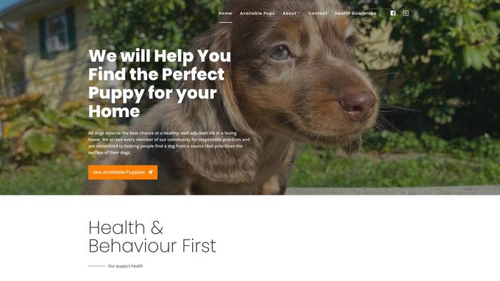 Poonchdachshunds.com - Dachshund Puppy Scam Review