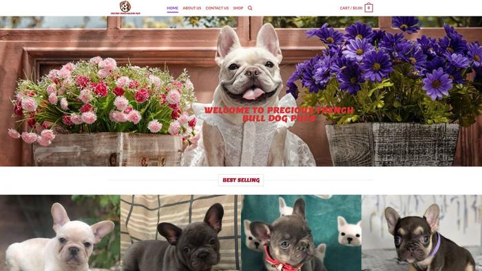 Preciousfrenchbulldogpups.com - French Bulldog Puppy Scam Review