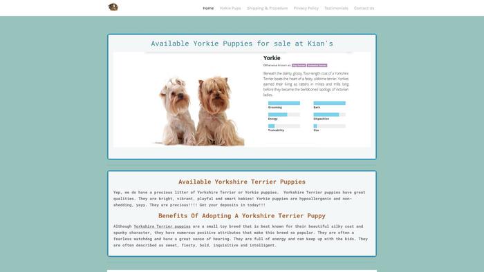 Precioustkyorkies.com - Terrier Puppy Scam Review