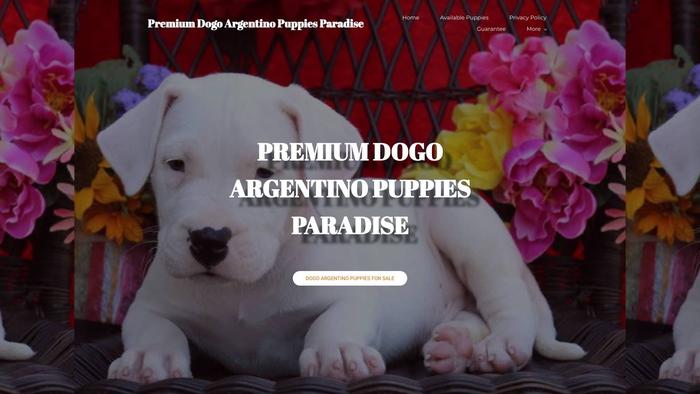 Premiumdogoargentinopuppies.com - Pit Bull Puppy Scam Review