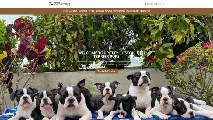 Prettybostonterrierpups.com - Boston Terrier Puppy Scam Review