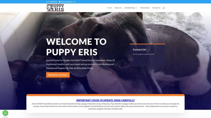 Puppyeris.com - Dachshund Puppy Scam Review