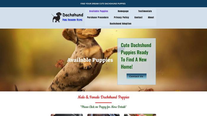 Puredashundhome.com - Dachshund Puppy Scam Review