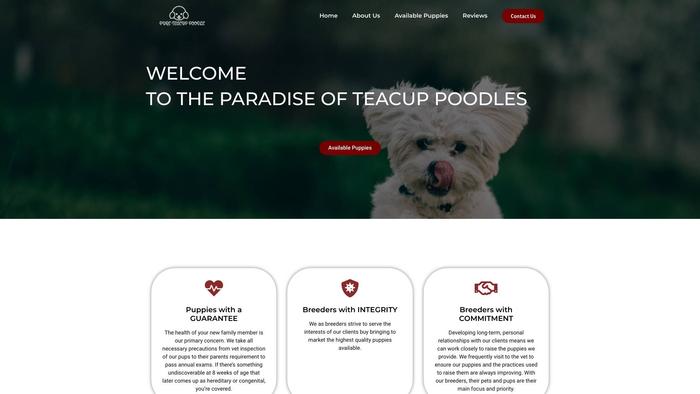 Pureteacuppoodle.com - Poodle Puppy Scam Review