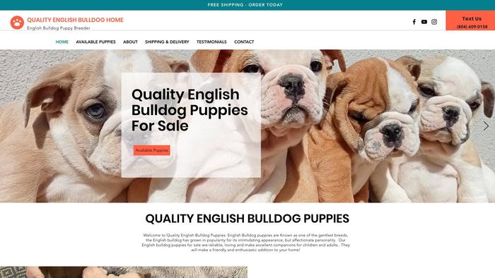 Qualityenglishbulldoghome.com - English Bulldog Puppy Scam Review