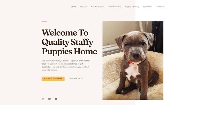 Qualitystaffypuppieshome.com - Pit Bull Puppy Scam Review