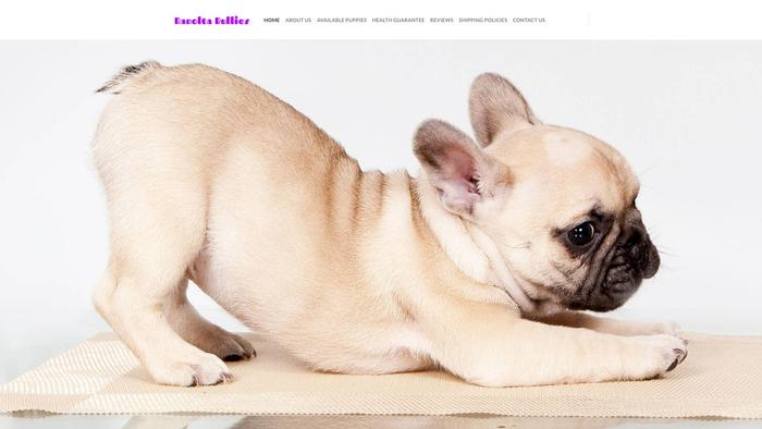 Ranoltabullies.com - French Bulldog Puppy Scam Review