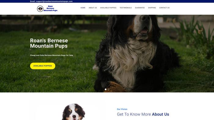 Roanbernesemountainpups.com - Bernese Mountain Dog Puppy Scam Review