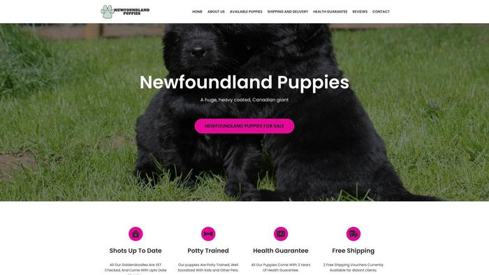 Robinsonnewfoundlandpuppies.com - Saint Bernard Puppy Scam Review