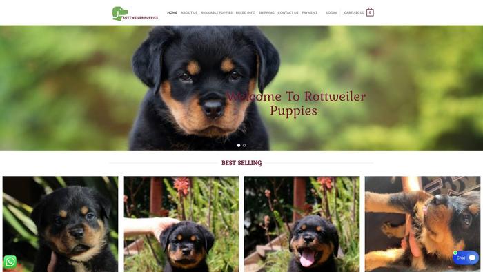 Rottweilerpuppiesforsales.com - Rottweiler Puppy Scam Review