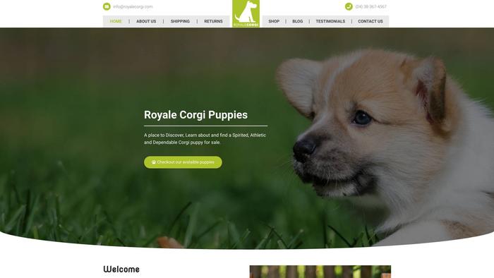 Royalecorgi.com - Corgi Puppy Scam Review