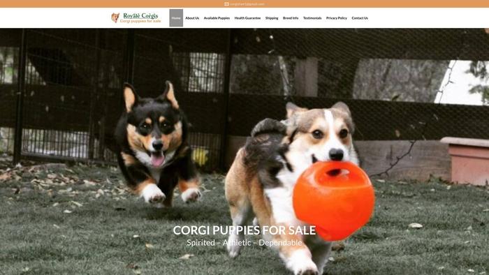 Royalecorgis.com - Corgi Puppy Scam Review