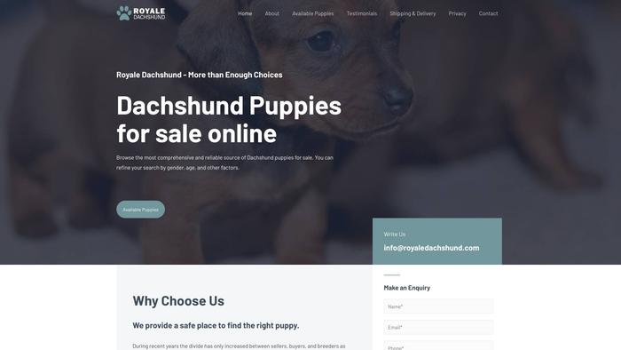 Royaledachshund.com - Dachshund Puppy Scam Review