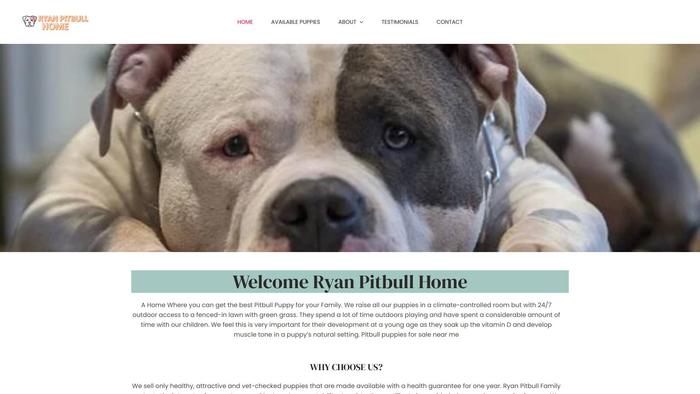 Ryanpitbullhome.com - Pit Bull Puppy Scam Review