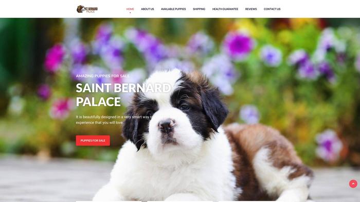 Saintbernardpalace.com - Saint Bernard Puppy Scam Review