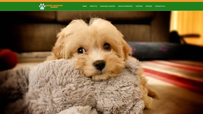 Sandycavapoopuppies.com - Cavapoo Puppy Scam Review