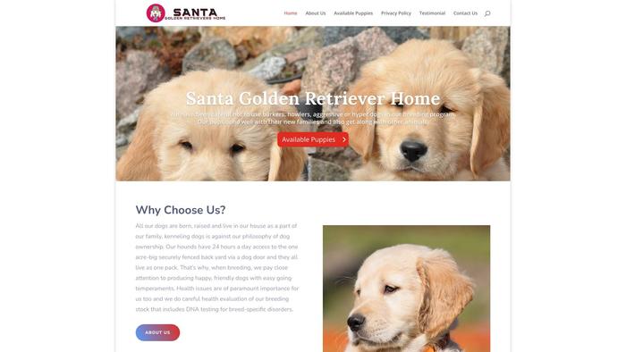 Santagoldenretrievershome.com - Golden Retriever Puppy Scam Review