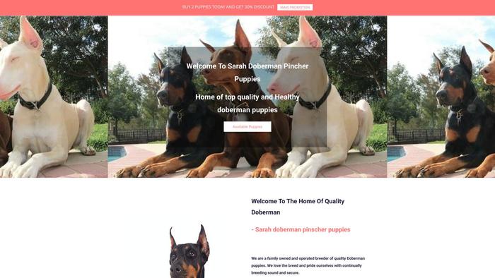 Sarahdobermanpuppies.com - Doberman Pinscher Puppy Scam Review