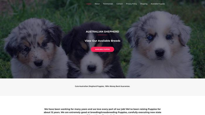 Savanapuppies.com - Australian Shepherd Puppy Scam Review