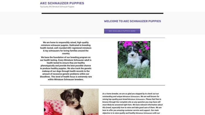 Schnauzerpuppies-akc.net - Schnauzer Puppy Scam Review