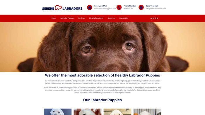 Serenelabradors.com - Labrador Puppy Scam Review