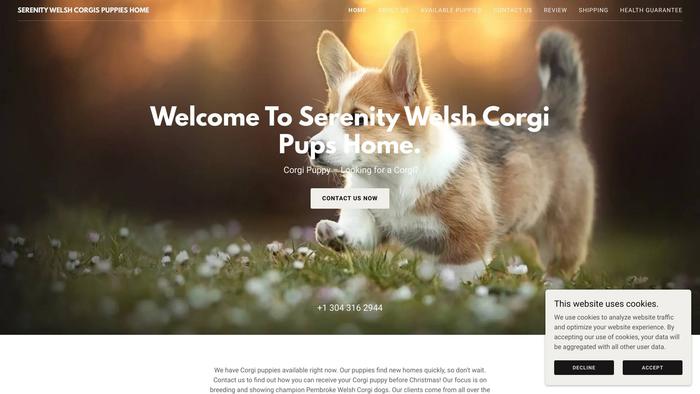 Serenitypembrokewelshcorgipupshome.com - Corgi Puppy Scam Review