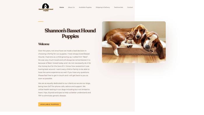 Shannonbassethoundpuppies.com - Bassethound Puppy Scam Review