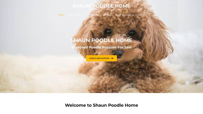 Shaunpoodlehome.com - Poodle Puppy Scam Review