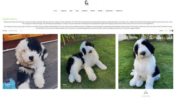 Sheepa-doodle.com - Labradoodle Puppy Scam Review