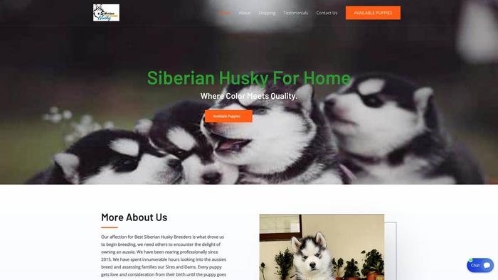 Siberianhuskyforhome.com - Husky Puppy Scam Review