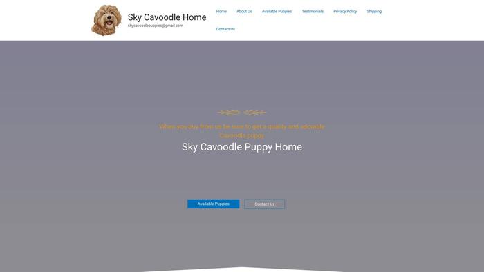 Skycavoodlepuppies.com - Cavapoo Puppy Scam Review