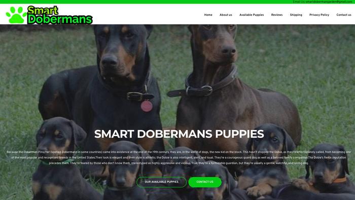 Smartdobermanpuppies.com - Doberman Pinscher Puppy Scam Review