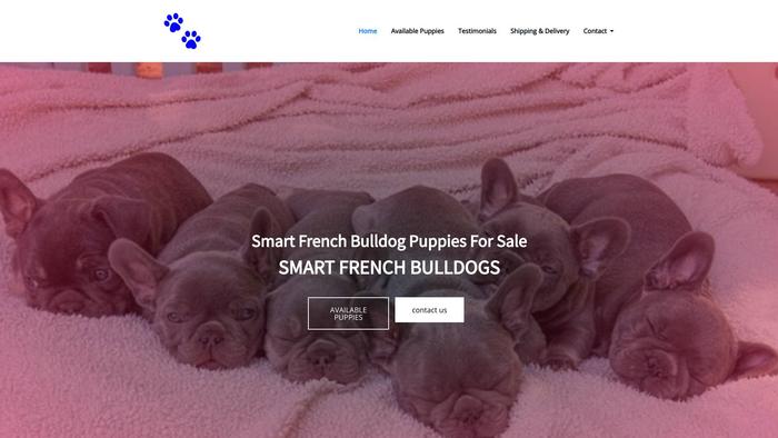 Smartfrenchbulldogs.com - French Bulldog Puppy Scam Review