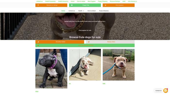 Smarthpocketbullies.com - Pit Bull Puppy Scam Review