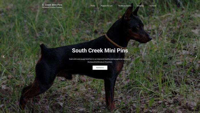 Southcreekminipins.com - Doberman Pinscher Puppy Scam Review