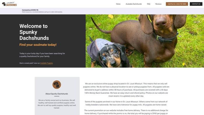 Spunkydachshund.com - Dachshund Puppy Scam Review