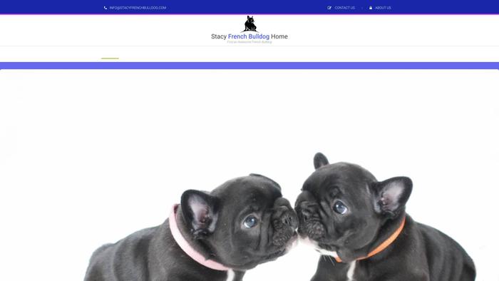 Stacyfrenchbulldog.com - French Bulldog Puppy Scam Review