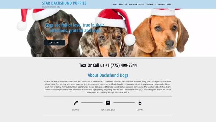 Stardachshundpuppies.com - Dachshund Puppy Scam Review