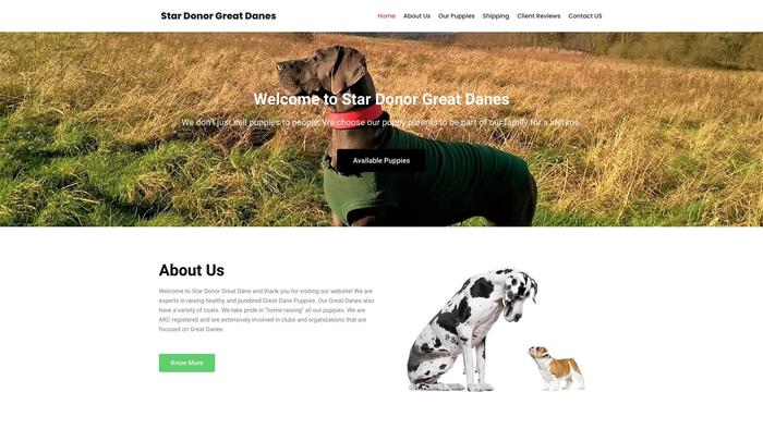 Stardonorgreatdane.com - Great Dane Puppy Scam Review