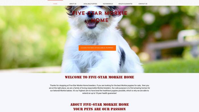 Starmorkiepuppieshome.com - Maltese Puppy Scam Review