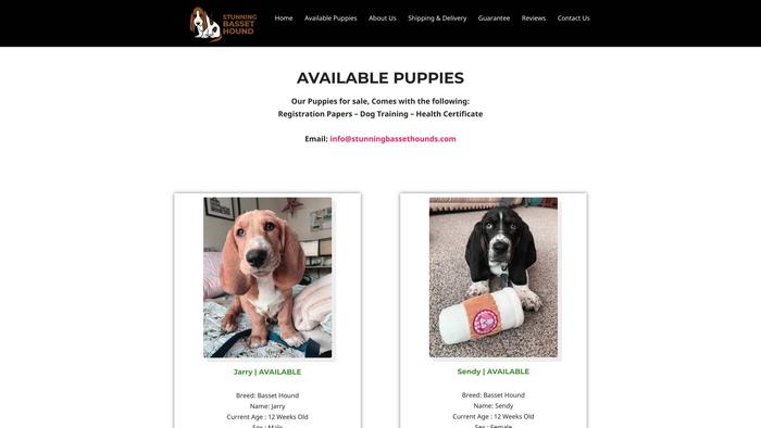 Stunningbassethounds.com - Bassethound Puppy Scam Review