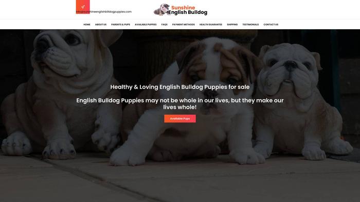 Sunshineenglishbilldogpuppies.com - English Bulldog Puppy Scam Review