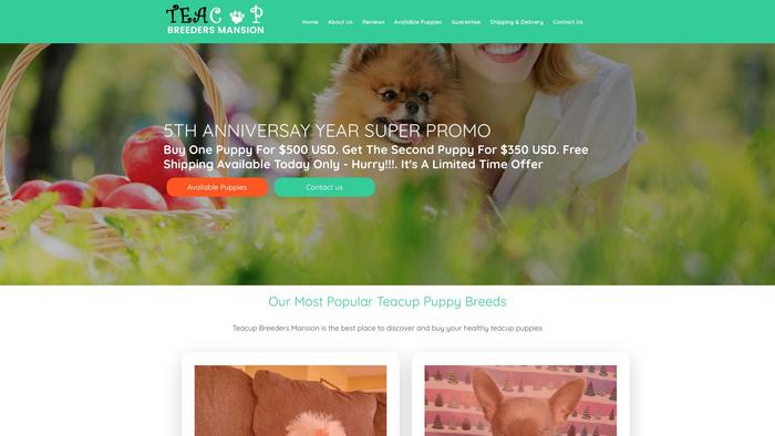 Teacupbreedersmansion.com - Yorkshire Terrier Puppy Scam Review