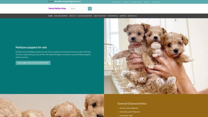 Teacupmaltipoopups.com - Maltipoo Puppy Scam Review