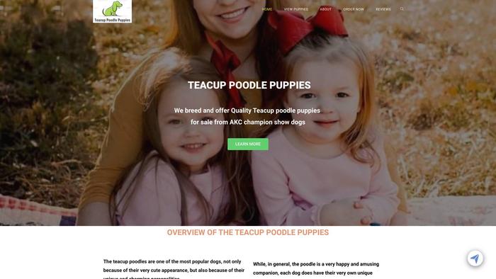 Teacuppoodlepuppies.online - Poodle Puppy Scam Review