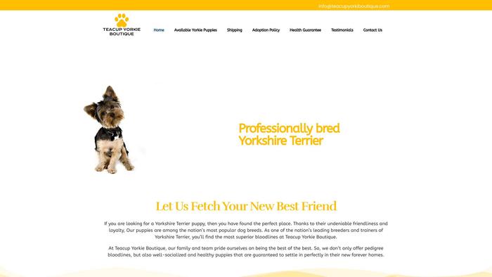 Teacupyorkiboutique.com - Yorkshire Terrier Puppy Scam Review