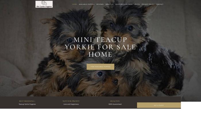 Teacupyorkiepuppyhome.com - Yorkshire Terrier Puppy Scam Review