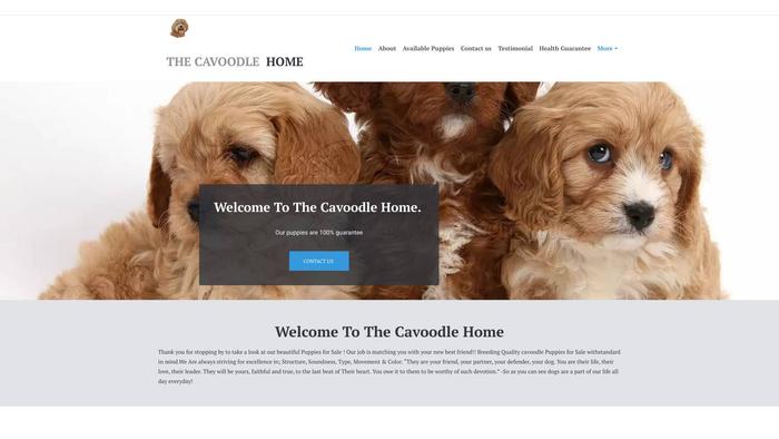 Thecavoodlehome.com - Cavapoo Puppy Scam Review