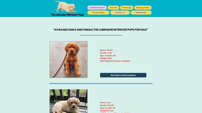 Thelabrador-retriever-pups.com - Golden Retriever Puppy Scam Review